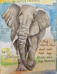 Solo Painting and Photography Trip to Africa