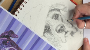 Learn How to Draw what You See: Measurement