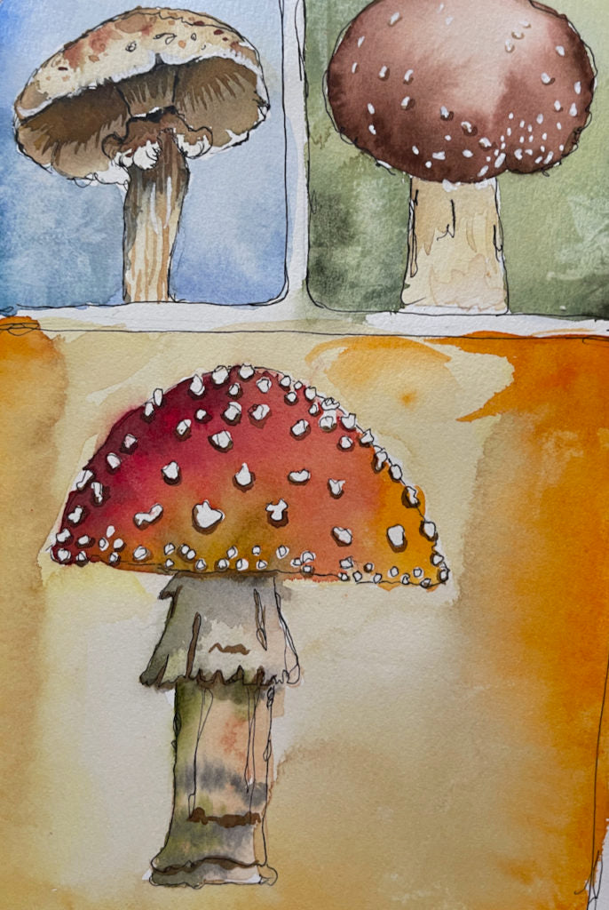 Sketchbook Tour