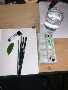 brushes