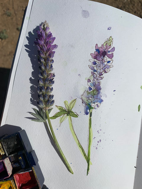 Solo Watercolor Van Trip