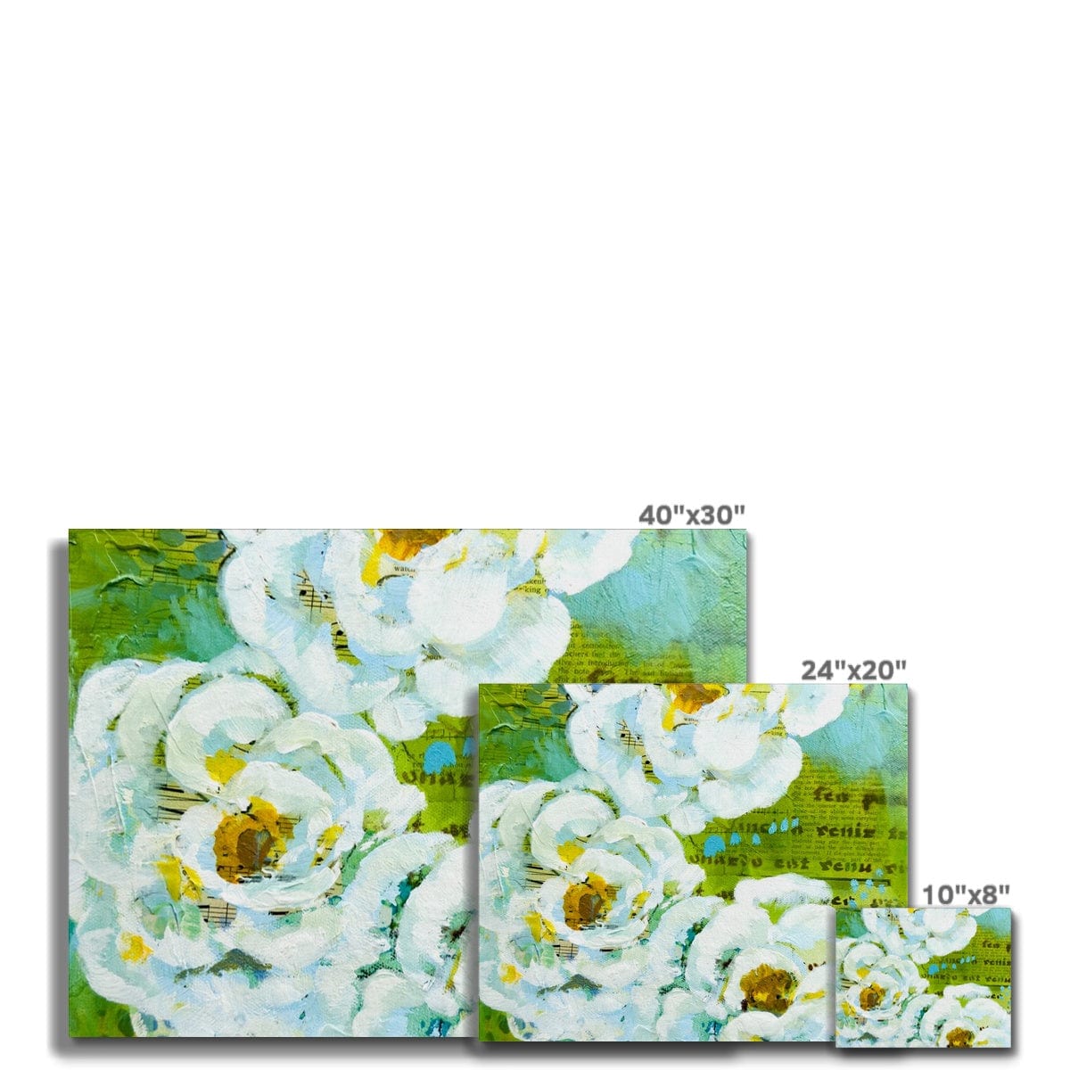 Prodigi Fine art Flower Music Series Ranunculus Print Canvas