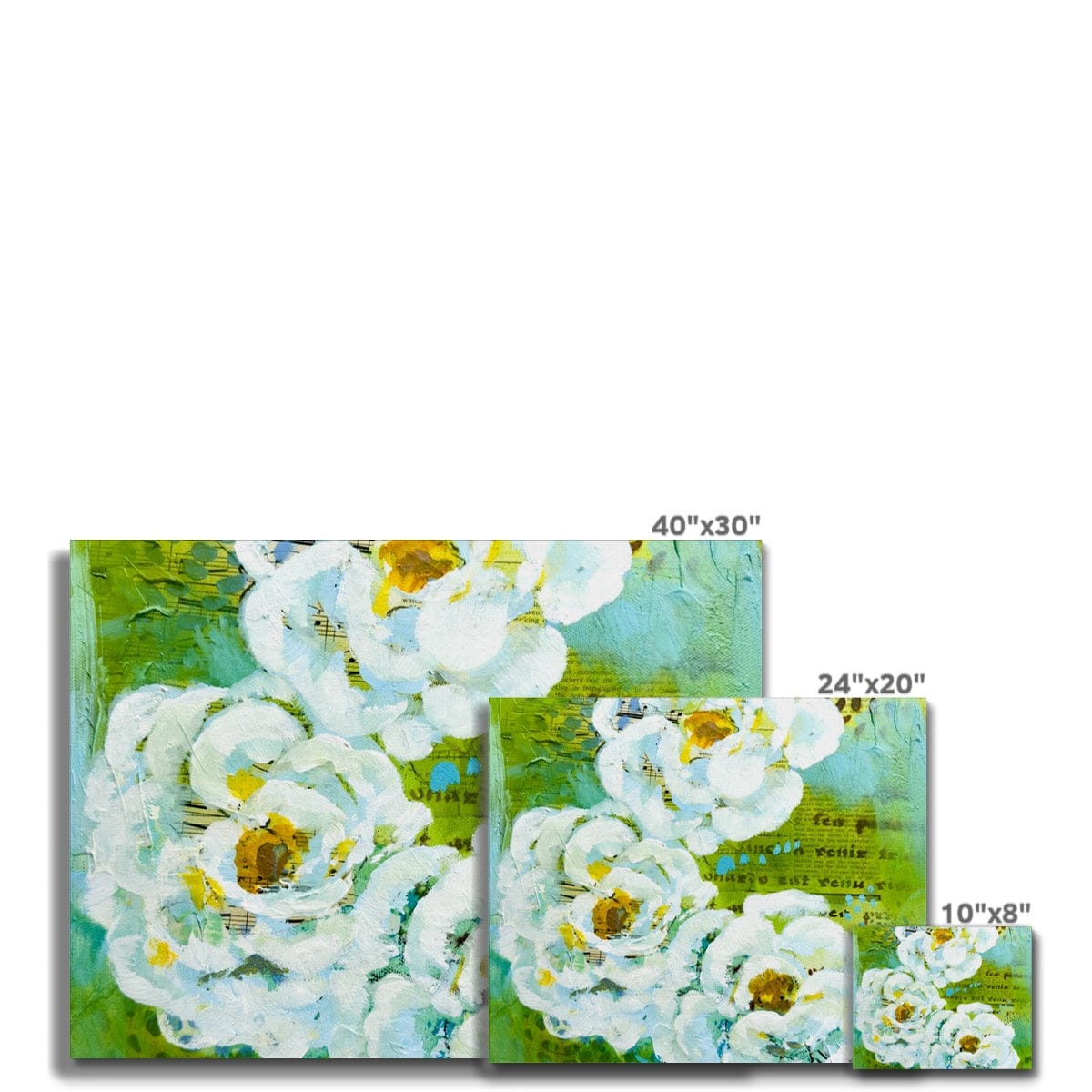 Prodigi Fine art Flower Music Series Ranunculus Print Canvas