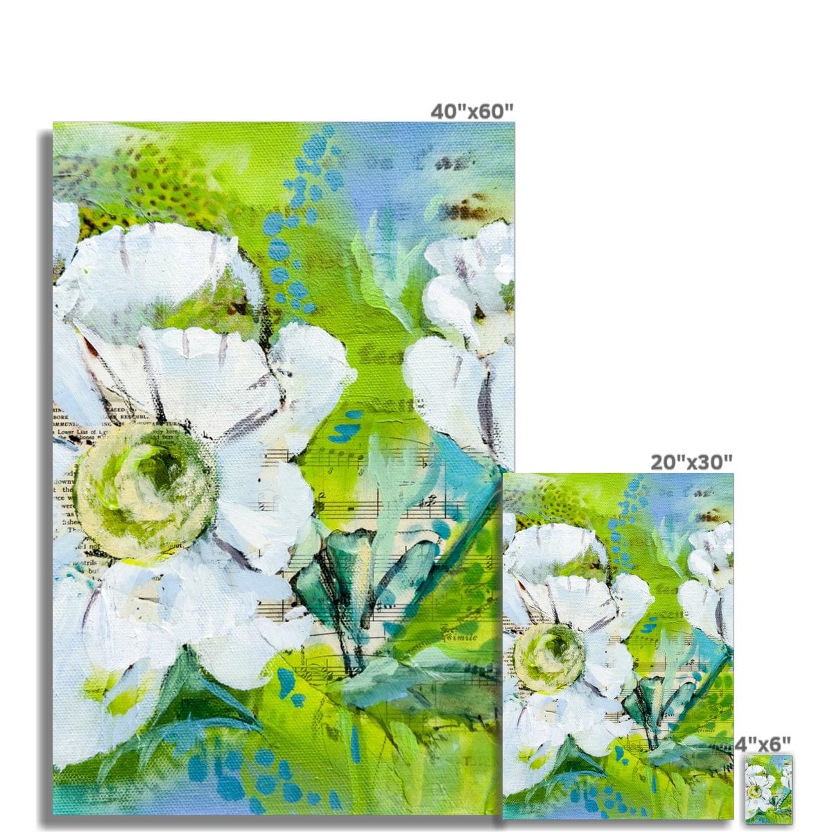 Prodigi Fine art print Flower Music Series Anemone Print Fine Art Print