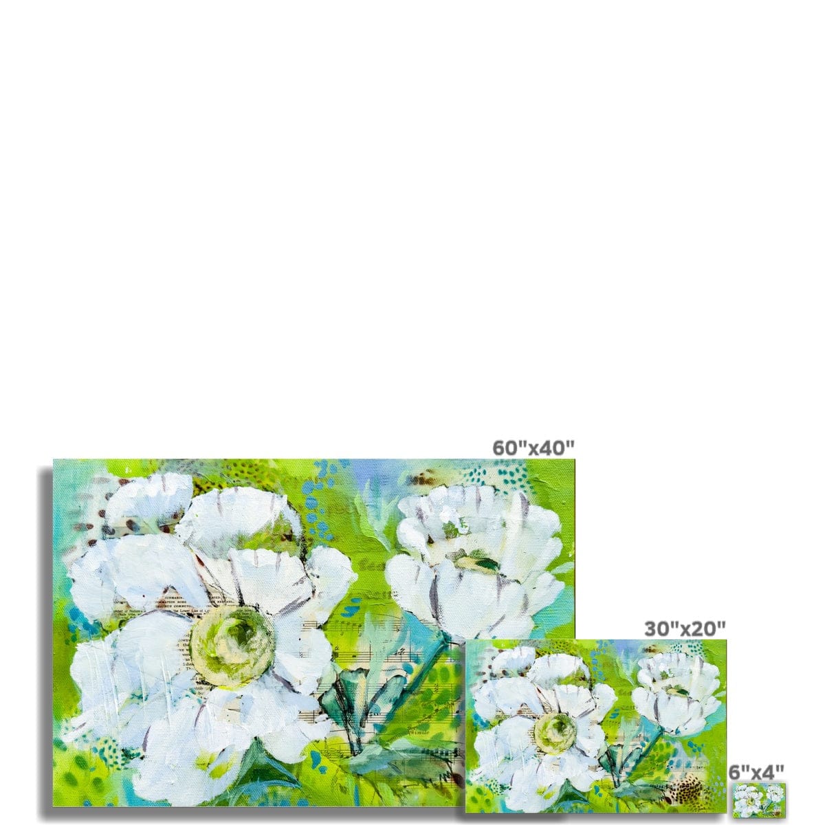 Prodigi Fine art print Flower Music Series Anemone Print Fine Art Print