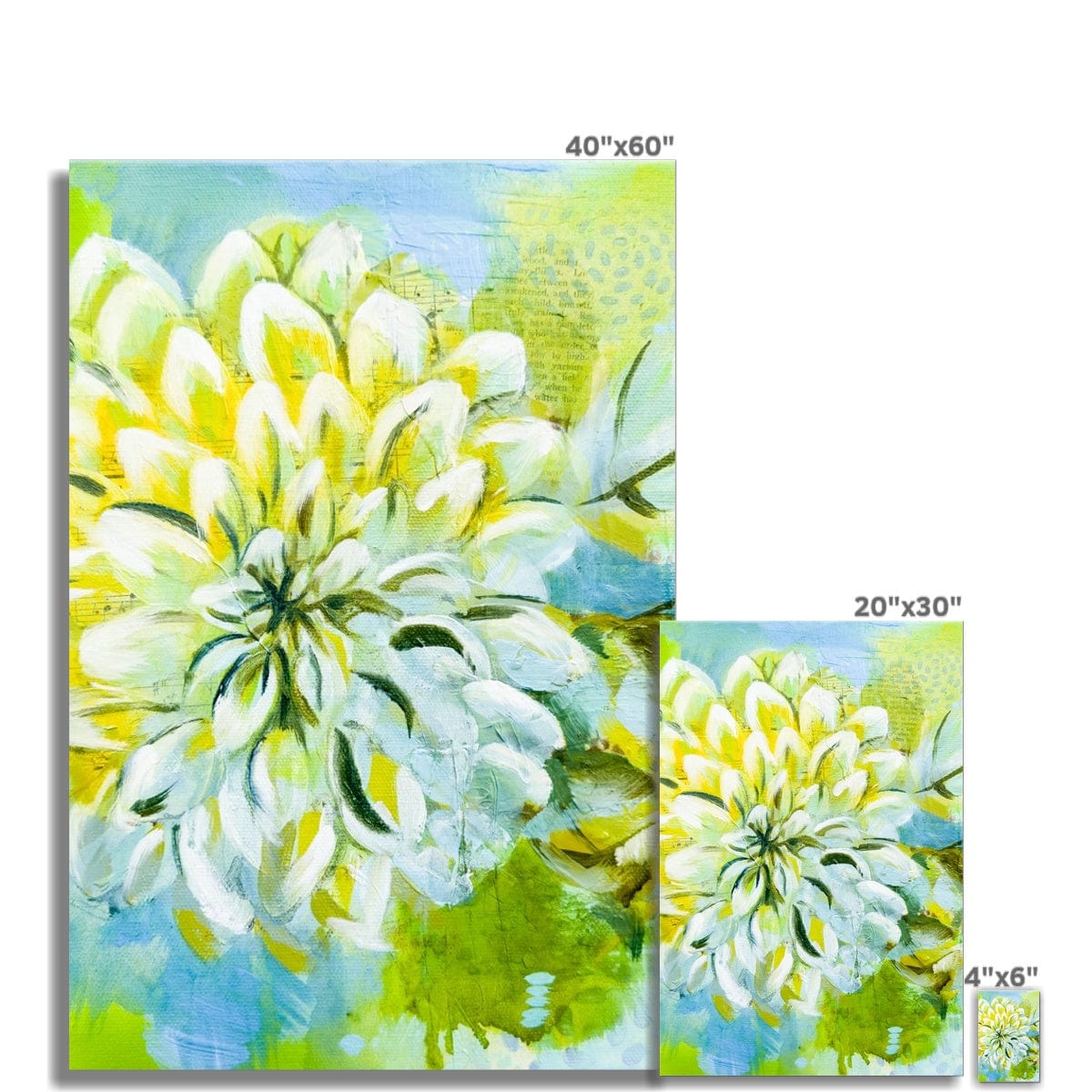 Prodigi Fine art print Flower Music Series Dahlia Print Fine Art Print
